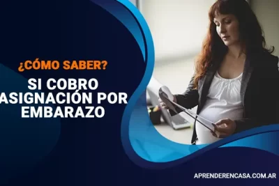 Cómo saber si salí para cobrar la asignación por embarazo